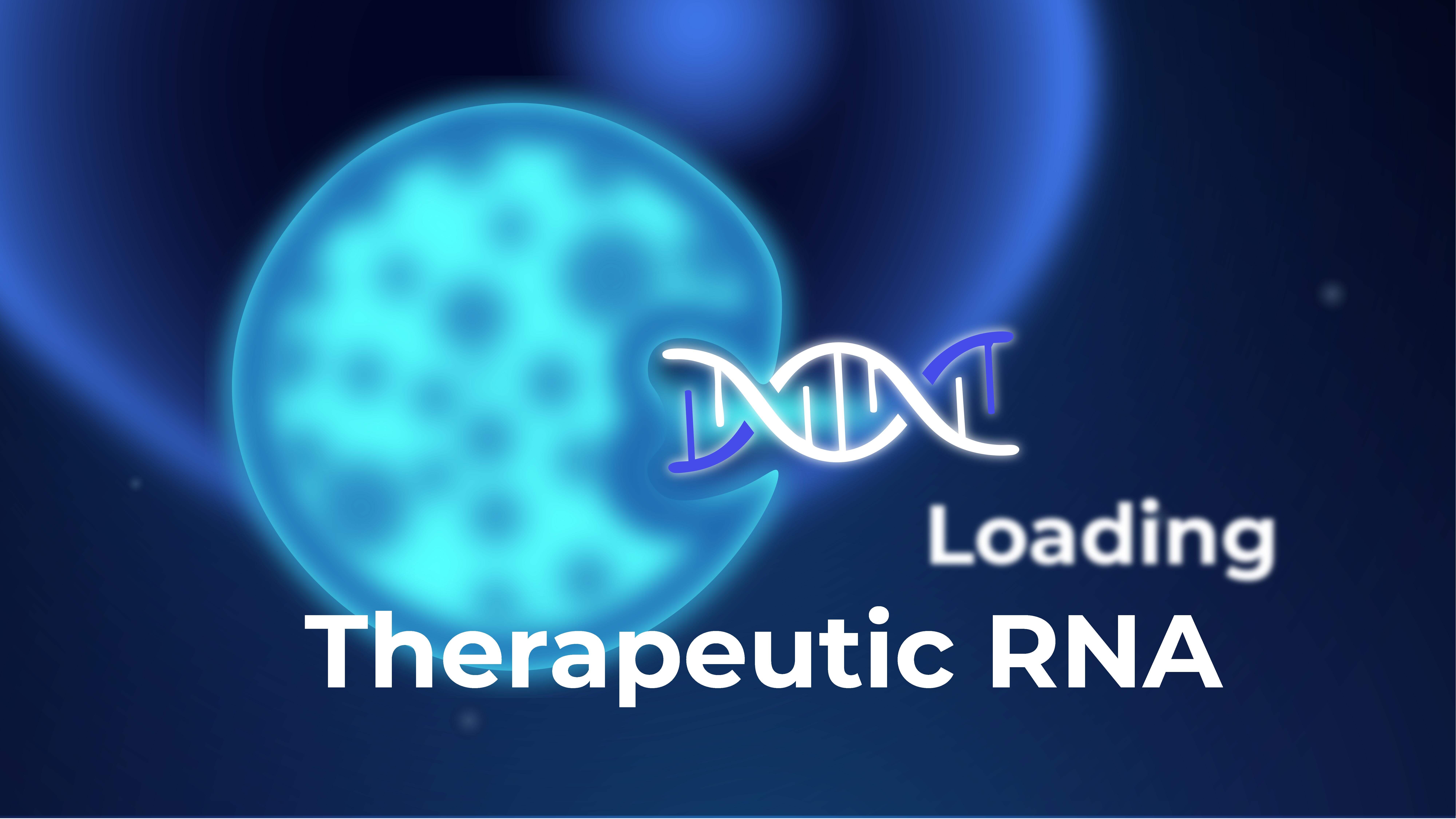 Hybrid nanovector : un nouveau vecteur pour la thérapie génique