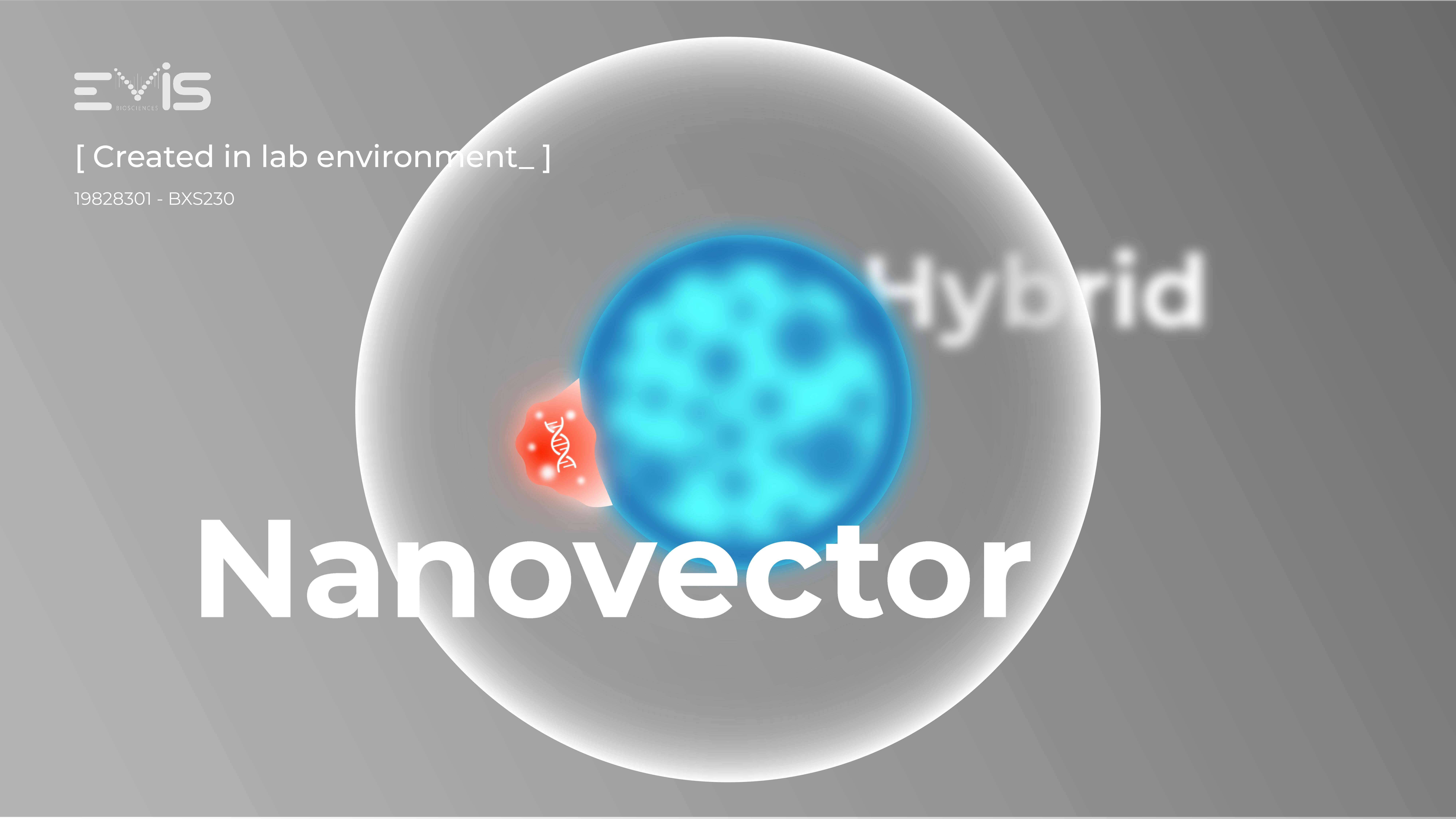 Hybrid nanovector : un nouveau vecteur pour la thérapie génique