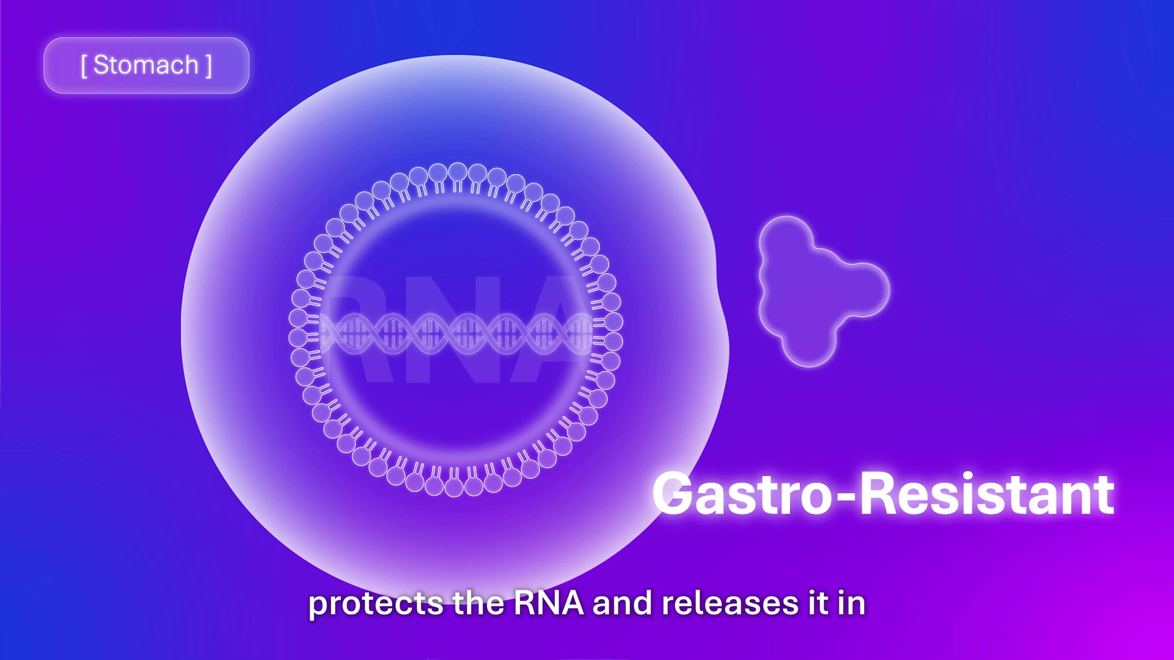 Microparticule gastro-résistante Oragen protégeant l'ARN dans l'estomac