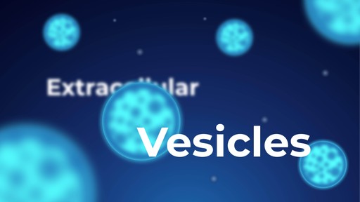 Evis Bioscience : un nouveau vecteur pour la thérapie génique